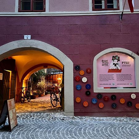 Muzikafe - Home Of Culture Ptuj Esterno foto
